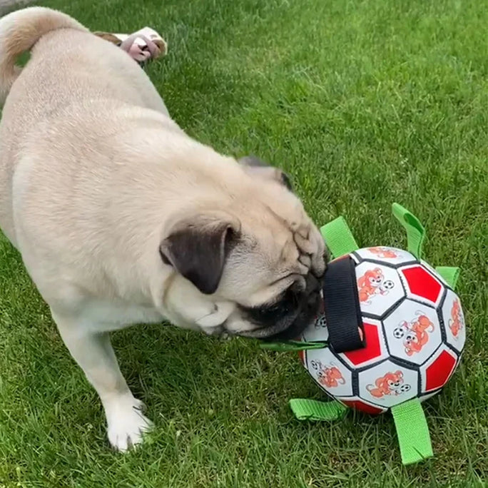 Interactive Dog Football Toy